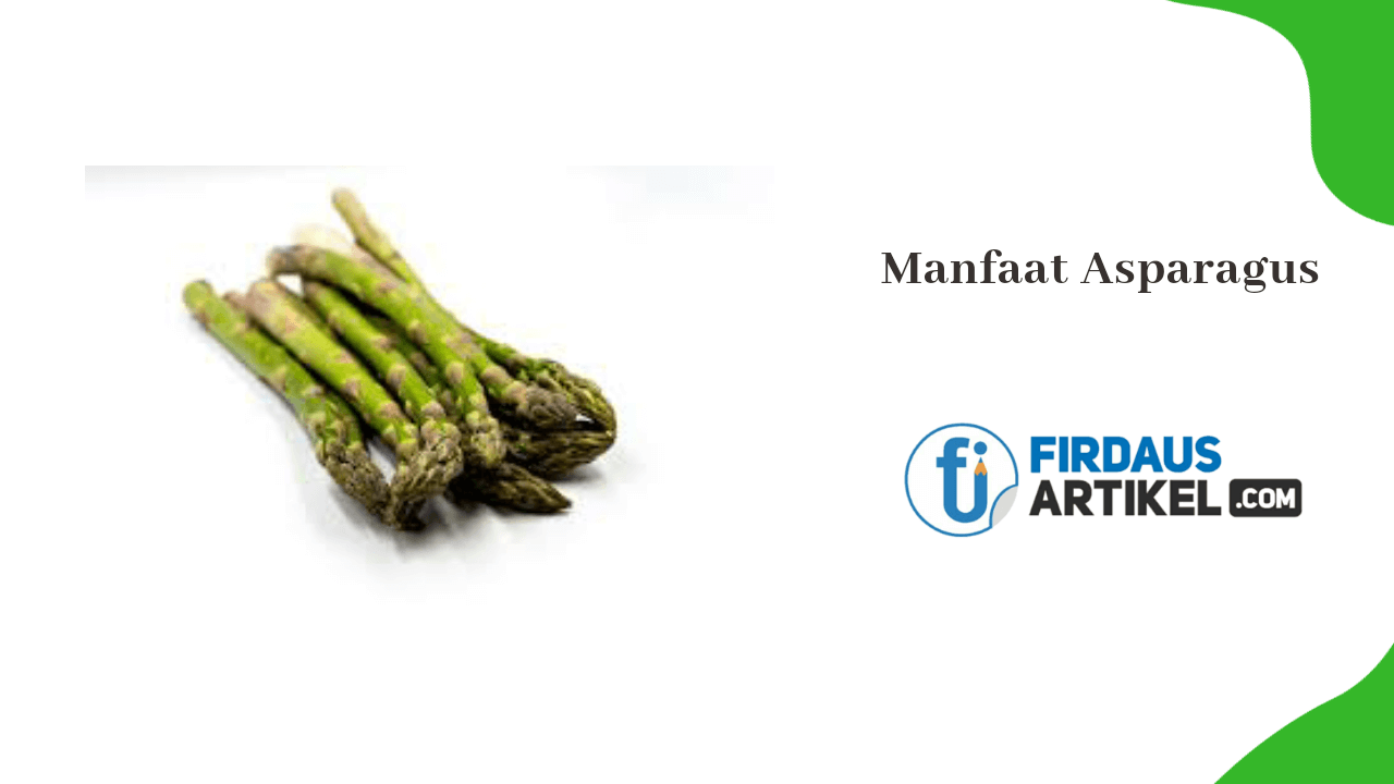 Manfaat asparagus