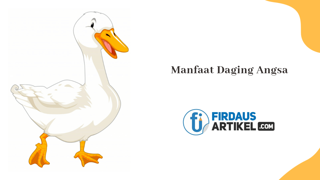 manfaat daging angsa