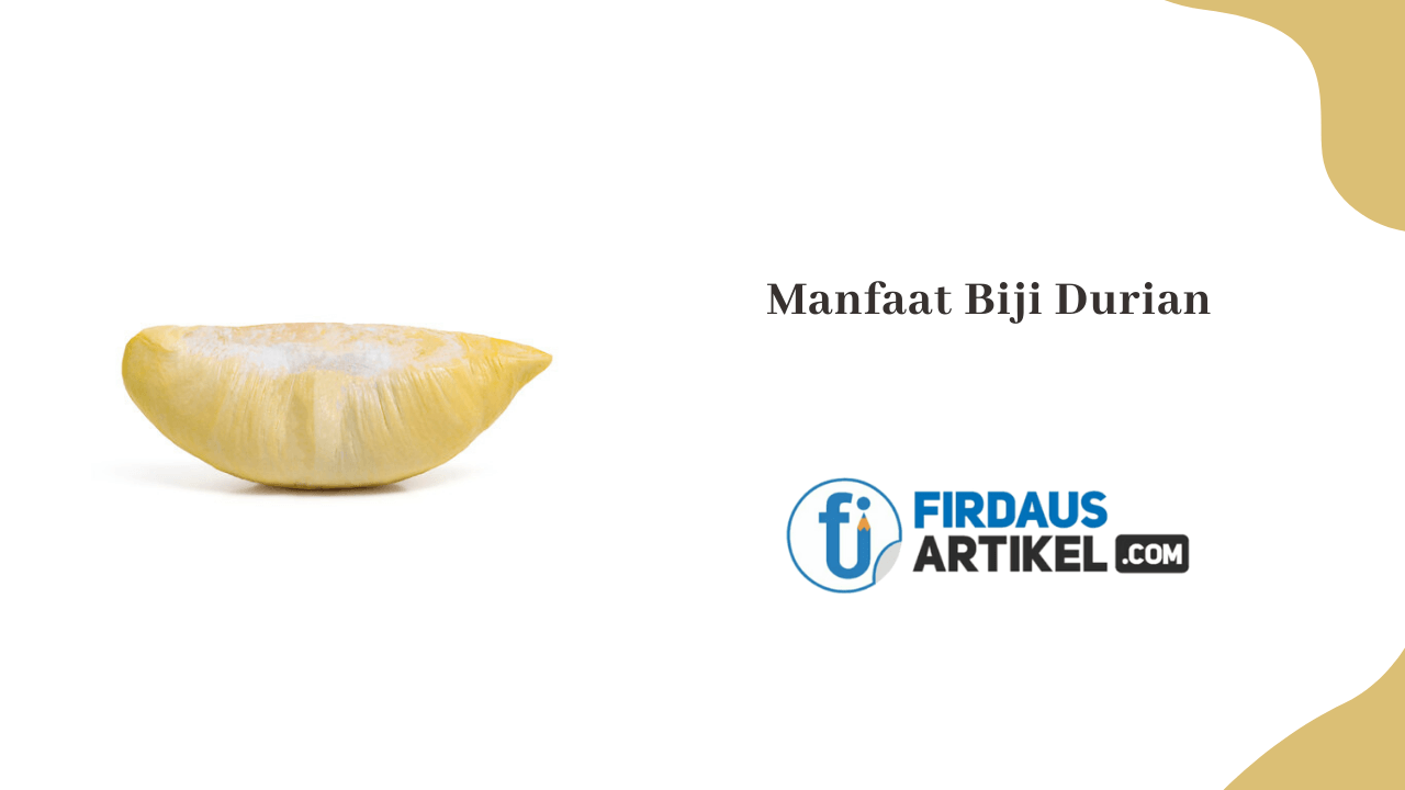 manfaat biji durian