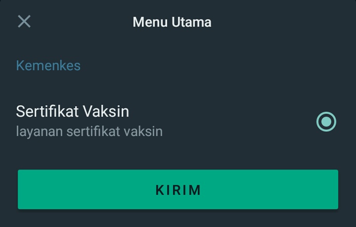 3+ Cara Mendapatkan Sertifikat Vaksin Covid-19 dengan Mudah 17