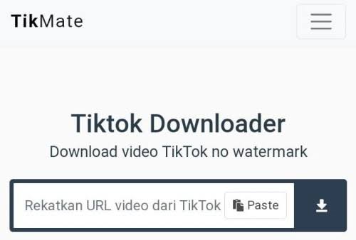 TikMate Video Downloader Without Watermark