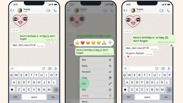 Cara Edit Chat WhatsApp yang Sudah Terkirim dengan Mudah 1