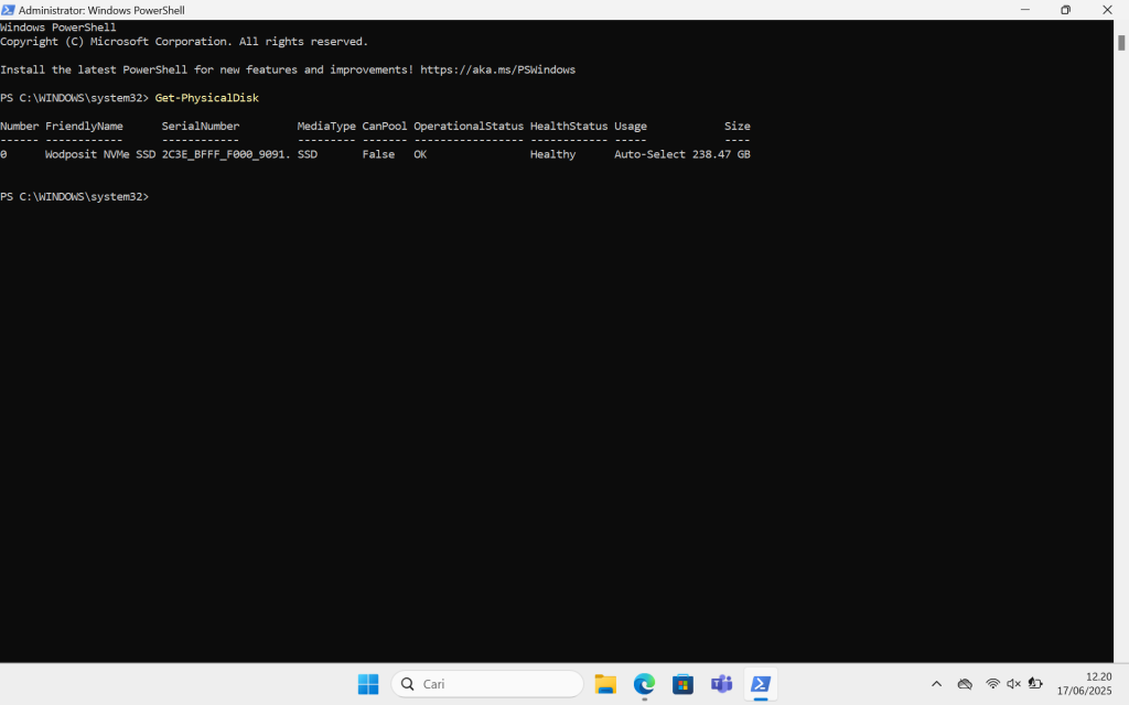 5 Cara Memeriksa Kesehatan SSD di Windows 11 dengan Berbagai Metode 5 cek kesehatan ssd dengan Windows PowerShell